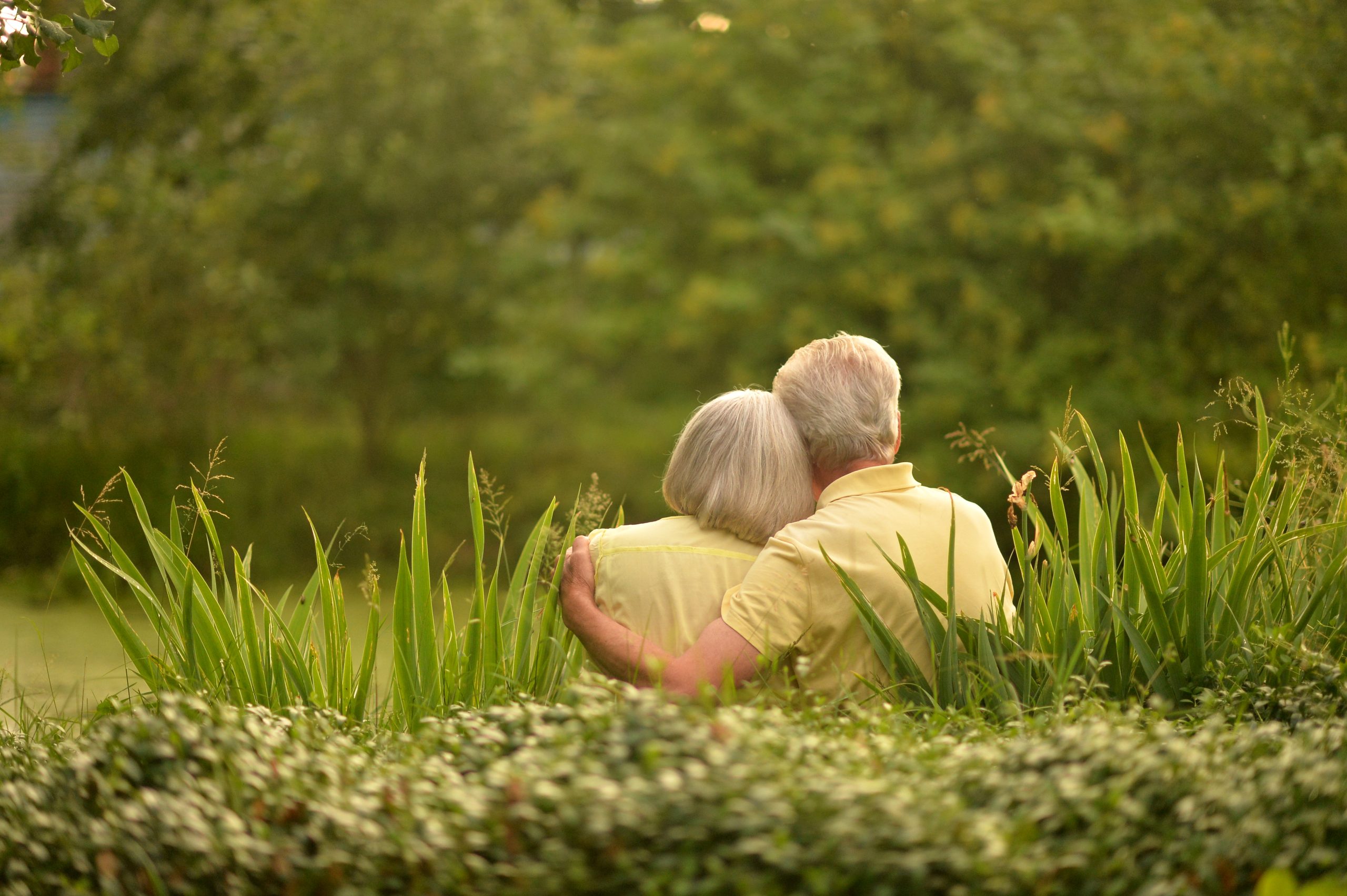 An elderly couple is sitting on the grass in a park rear view Couple reconnecting through couples therapy near Loxwood in a peaceful West Sussex setting