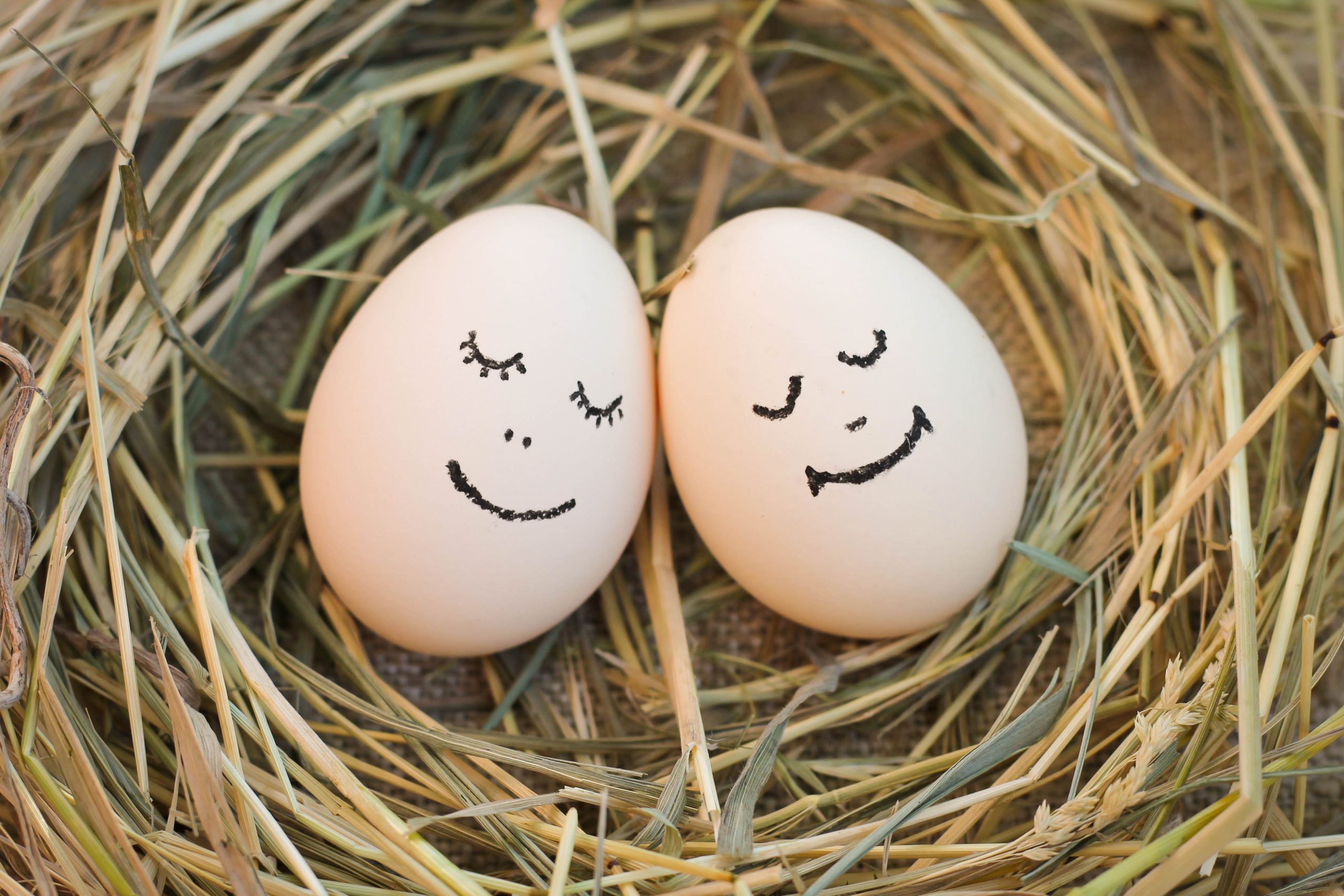 Happy couple in love. Eggs. Two eggs with smiling faces nestled in straw, symbolising emotional connection and warmth – Eleos Counselling West Sussex couples therapy"