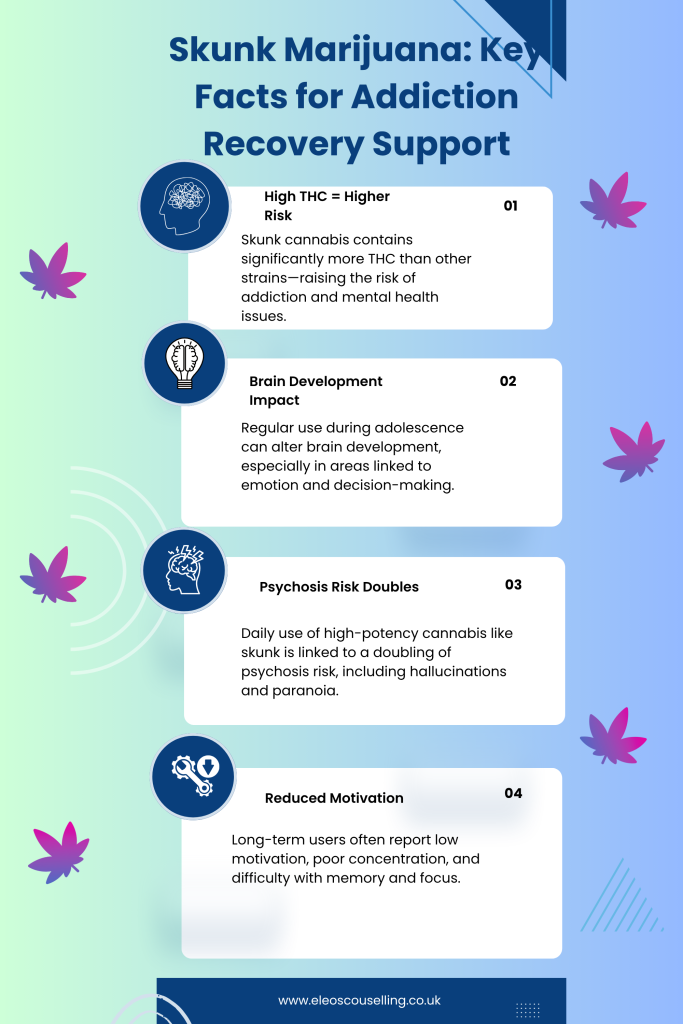 an an infographic about skunk marijuana, the key fact for diction recovery and support