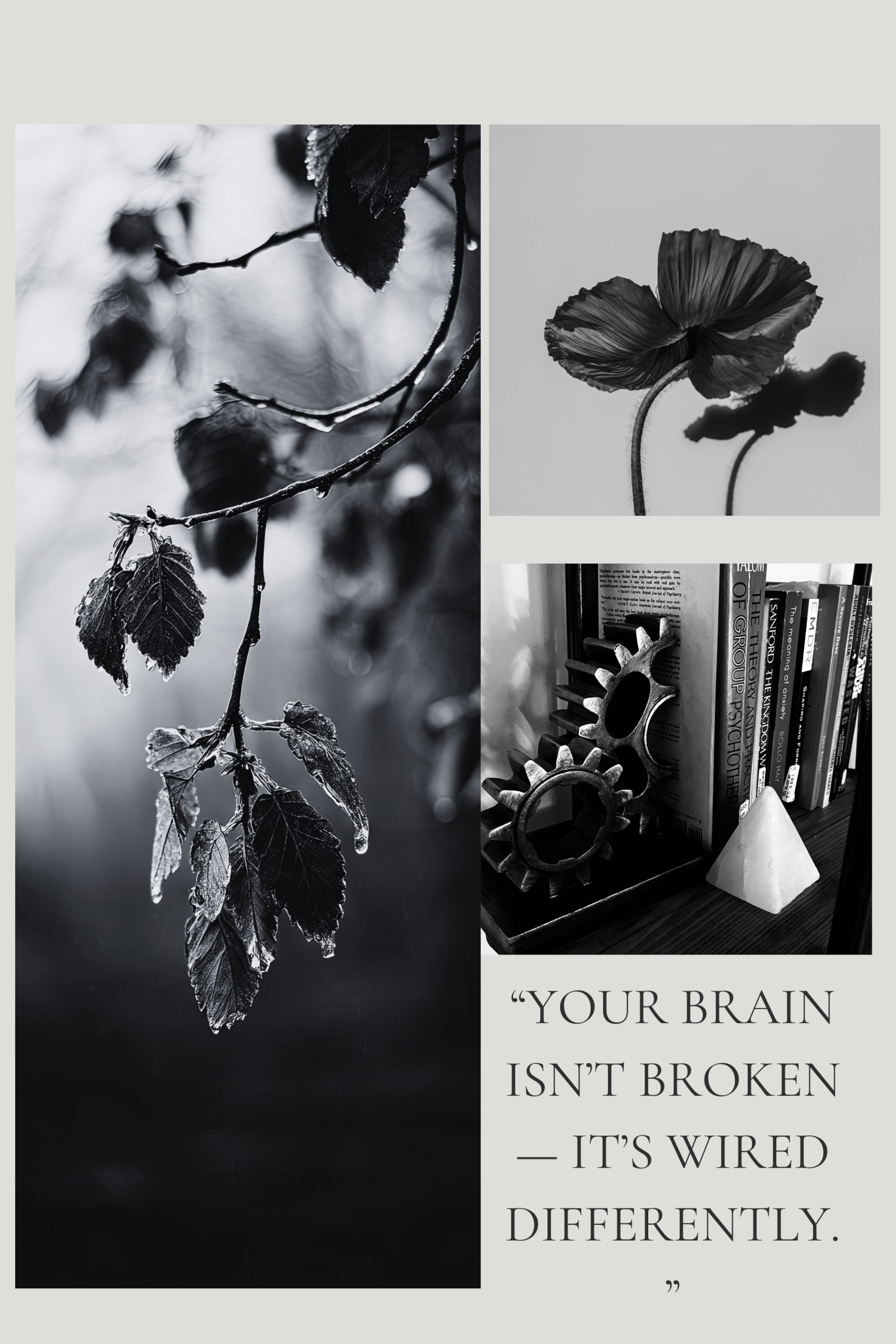 Black and white collage for ADHD counselling Upper Beeding BN44 showing reflective leaves, flower detail, bookshelf gears and quote “Your brain isn’t broken – it’s wired differently.”