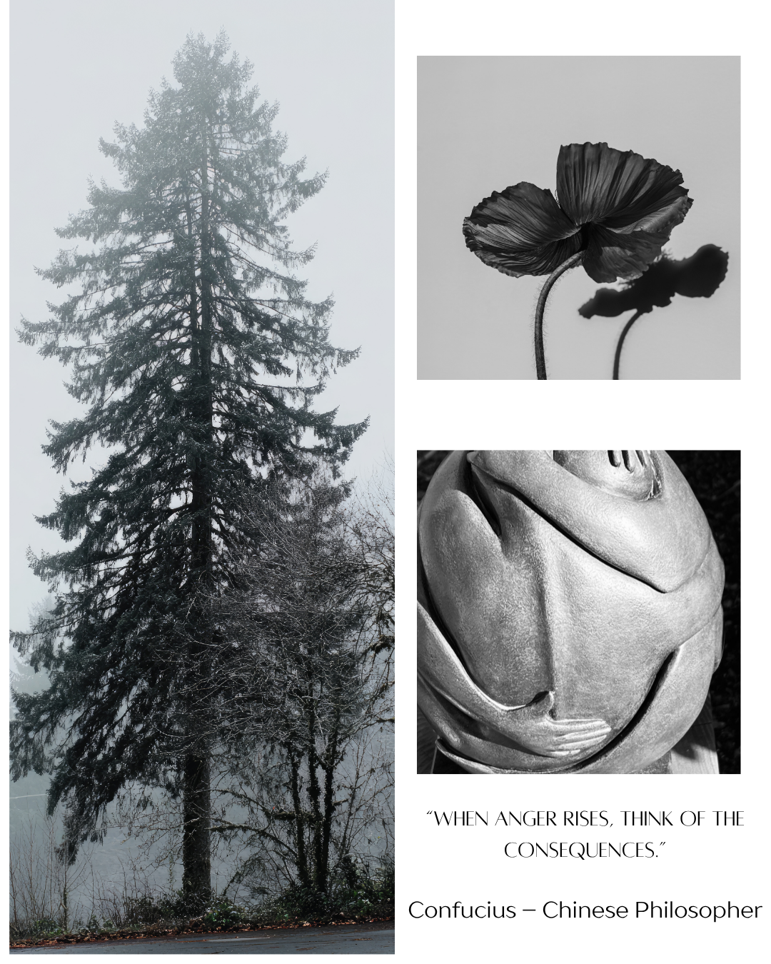 Black and white calming imagery for anger management therapy Upper Beeding BN44 showing reflection, emotional regulation, and consequences of anger with nature and sculpture<br />
