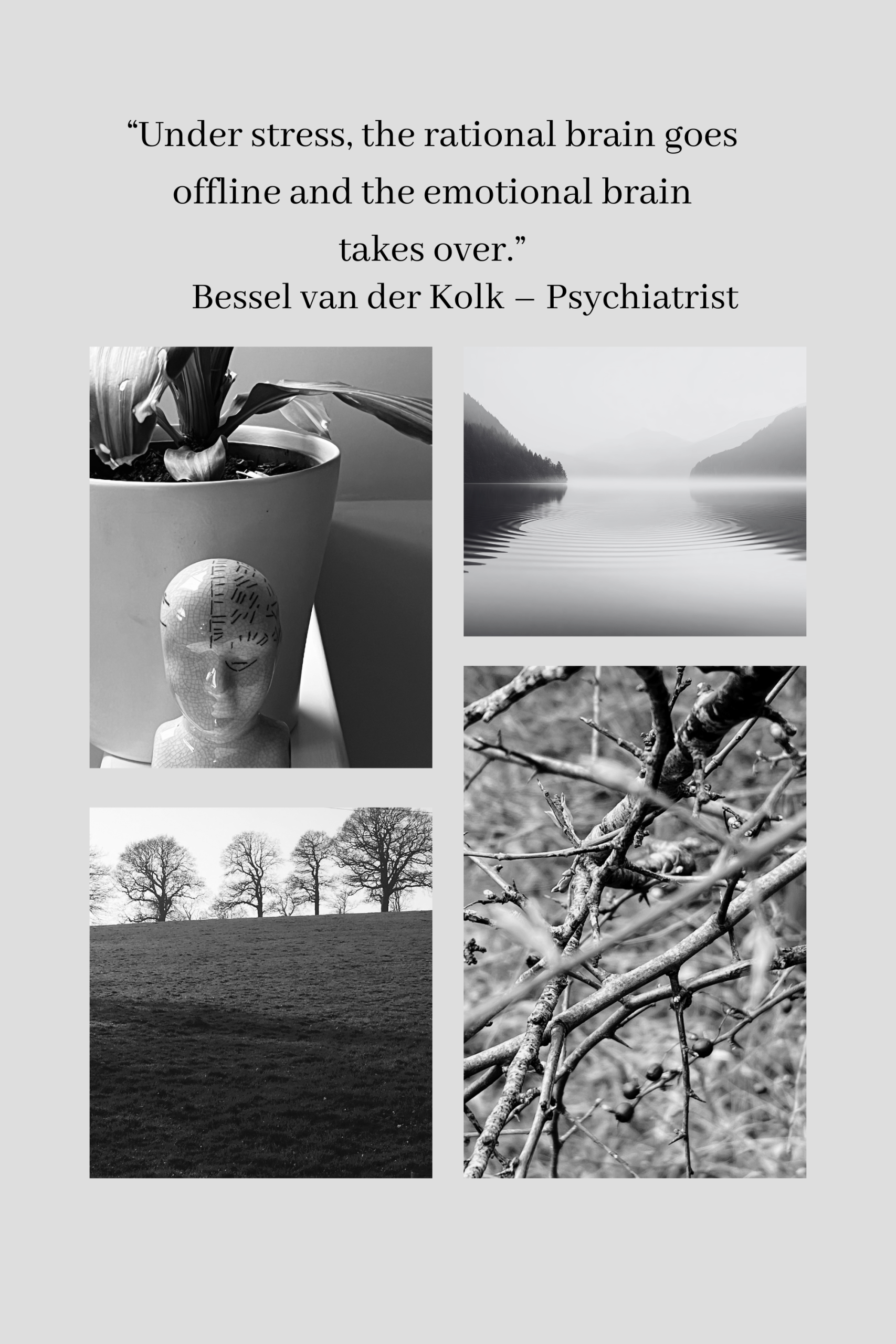 Anger management for men Cowfold RH13 West Sussex showing stress response, emotional brain takeover, and quote about rational brain going offline under stress