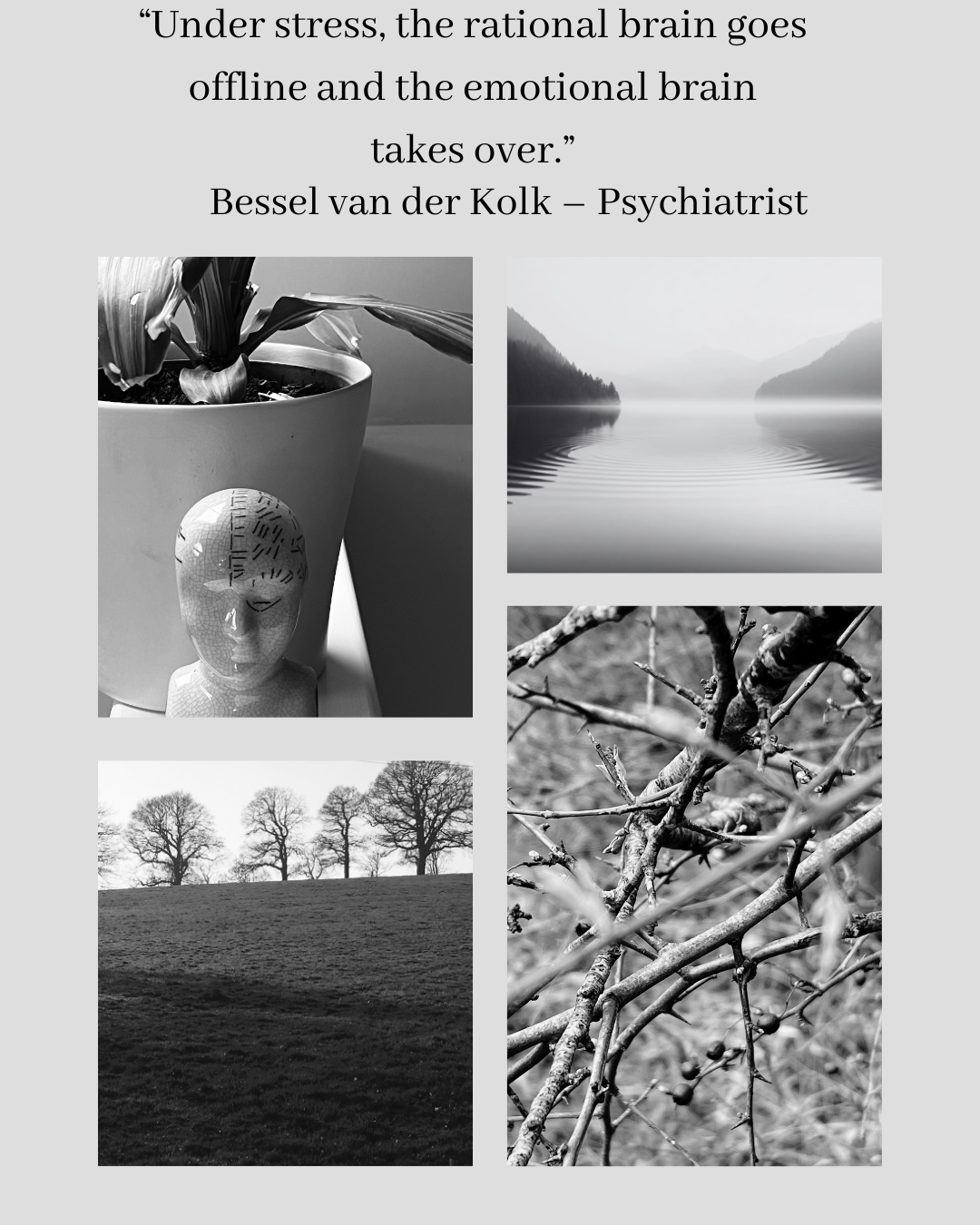 Black and white collage illustrating anger management therapy in West Chiltington RH20, showing stress response, emotional brain activation, and calming nature imagery for regulation
