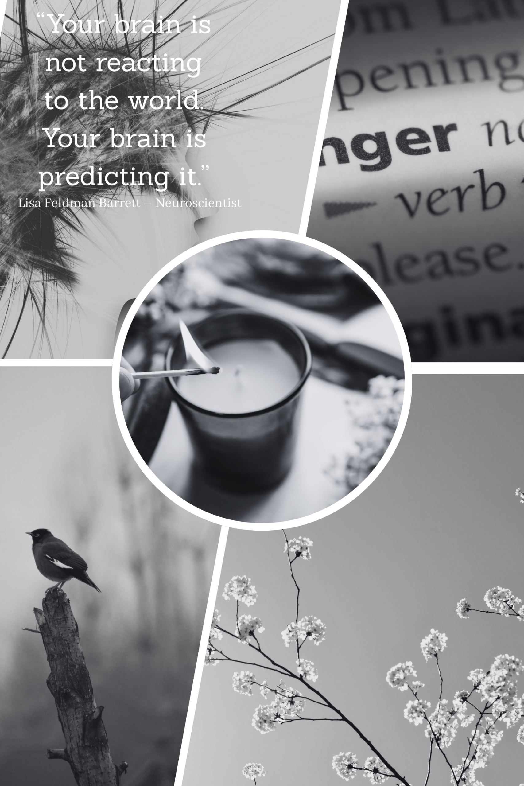 Black and white collage representing anger management therapy in West Chiltington RH20, showing emotional regulation, calm reflection, and neuroscience-based understanding of anger