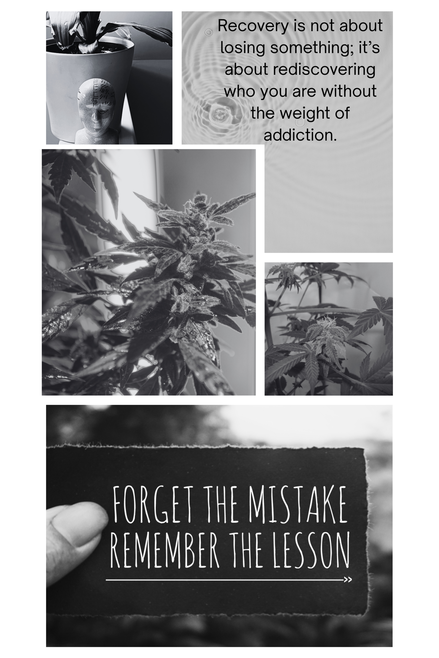 Black and white collage showing skunk marijuana plants and recovery messages about overcoming addiction and self-compassion in West Sussex counselling
